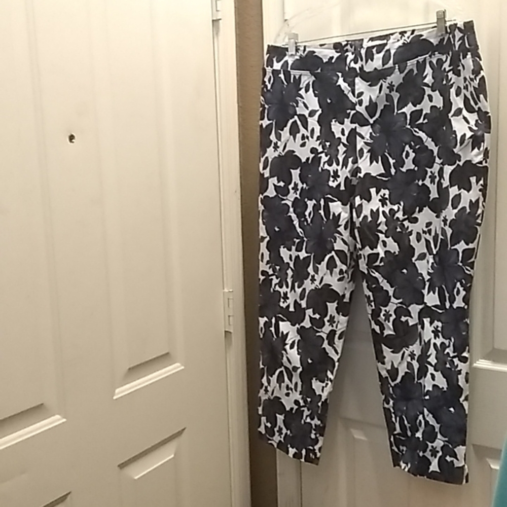 FINAL MARKDOWN Eliane rose slacks 18w